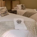 Oasis Colombomexicano en el Corazón de Cartagena