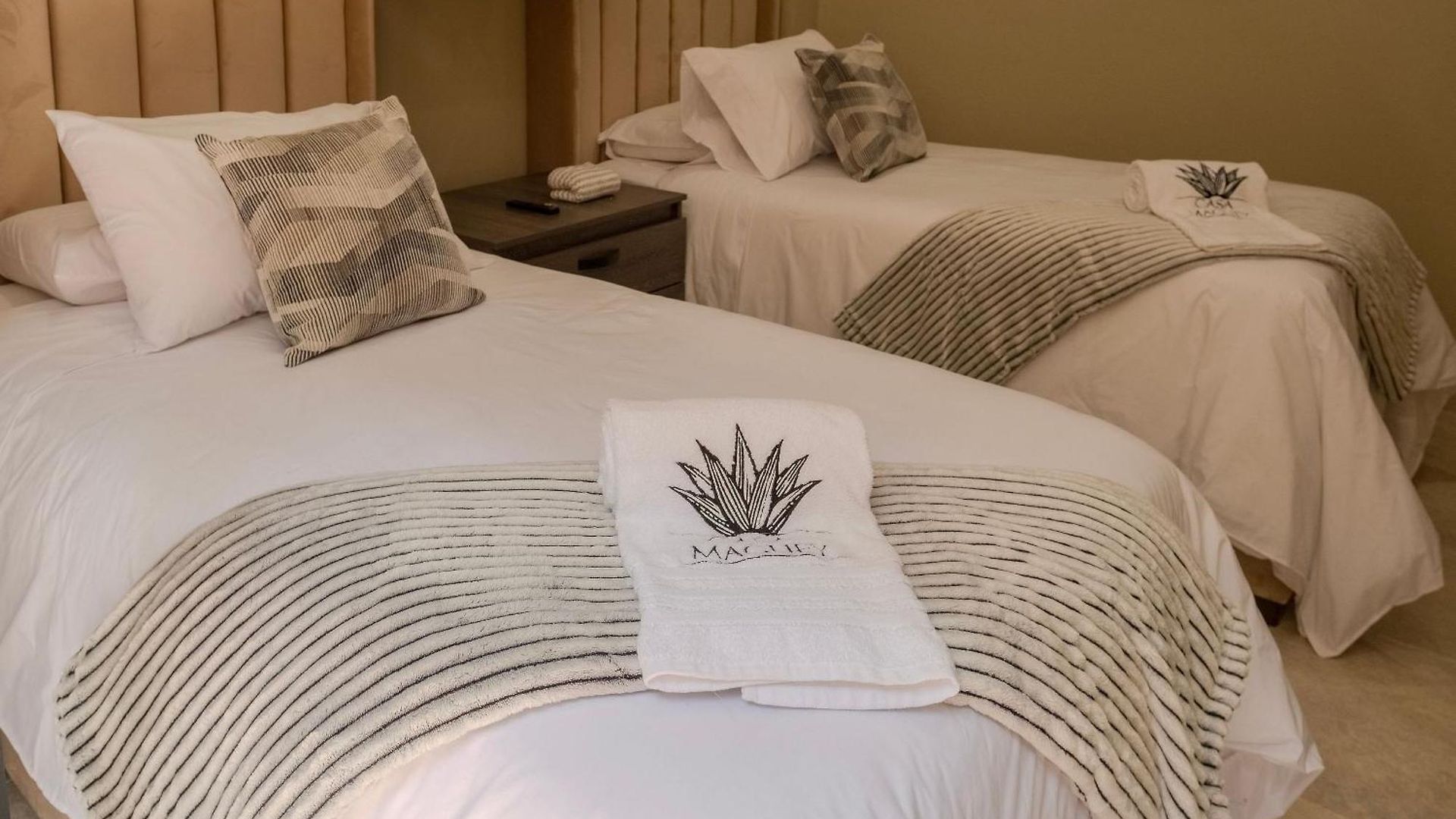 Oasis Colombomexicano En El Corazón De Сasa de vacaciones *