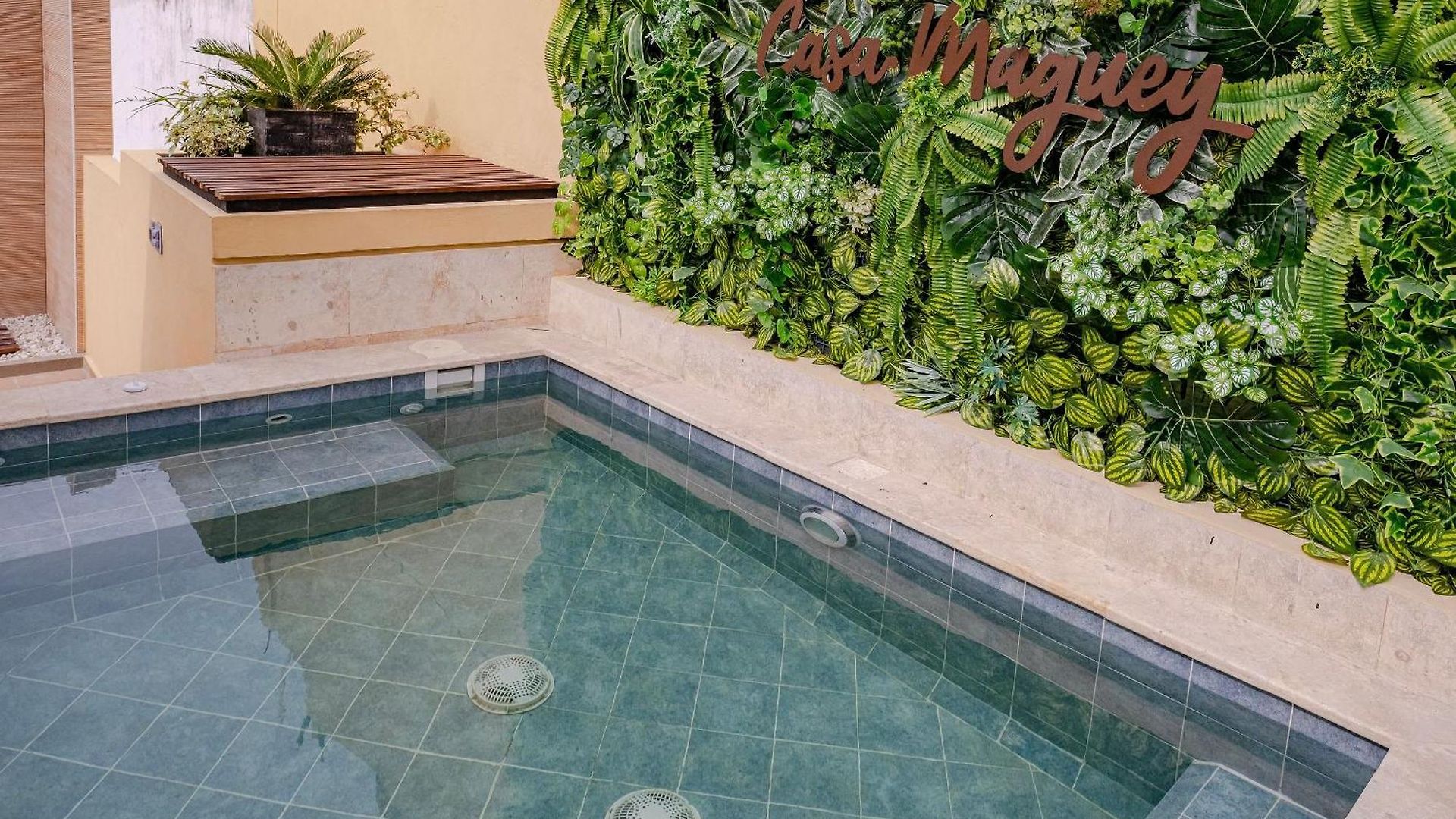 Oasis Colombomexicano En El Corazón De Сasa de vacaciones