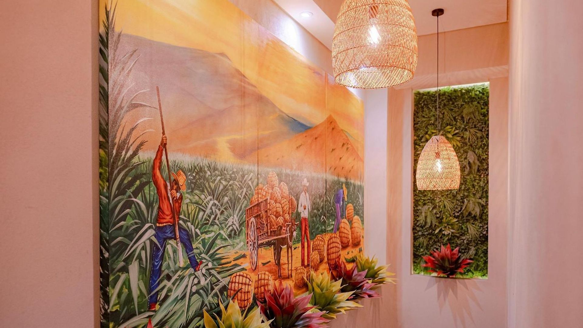 Oasis Colombomexicano En El Corazón De *