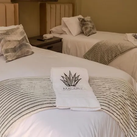 Oasis Colombomexicano En El Corazon De Holiday home *