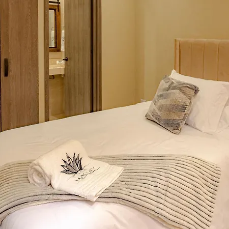 Oasis Colombomexicano En El Corazon De Holiday home *