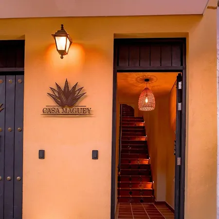 Oasis Colombomexicano En El Corazon De Holiday home